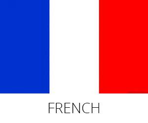  French Language - Lingua Plus